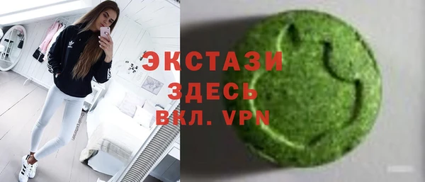 индика Алексин
