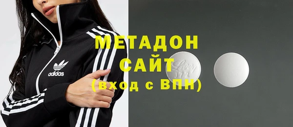индика Алексин