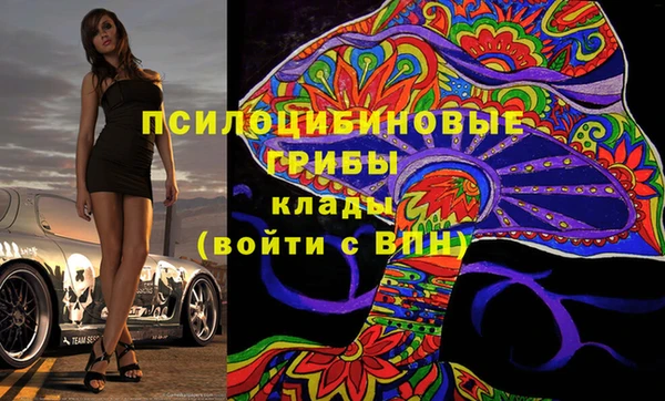 индика Алексин