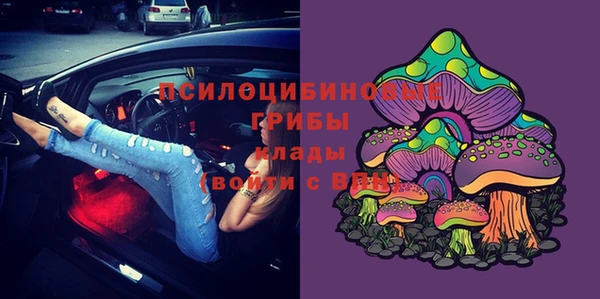 индика Алексин