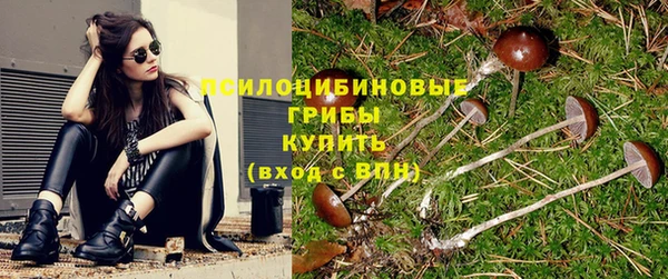 соль ск Абдулино