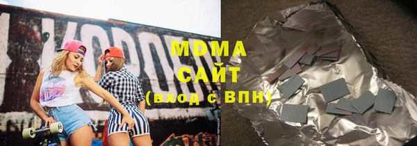 индика Алексин
