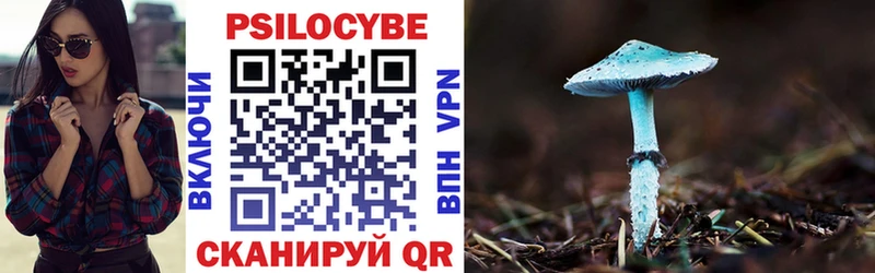 Псилоцибиновые грибы MAGIC MUSHROOMS  KRAKEN маркетплейс  shop наркотические препараты  Темрюк 