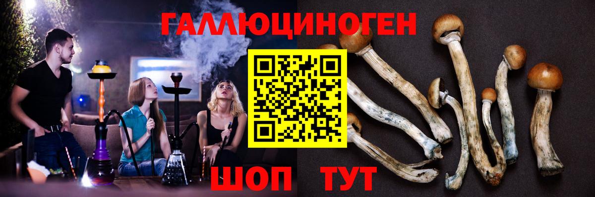 Темрюк  Псилоцибиновые грибы мицелий  Галлюциногенные грибы MAGIC MUSHROOMS  Вход с VPN 